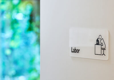 Labor